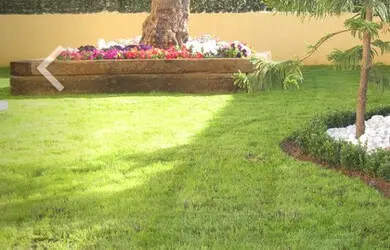 Tala y poda en Altura de árboles en Sevilla y municipios
